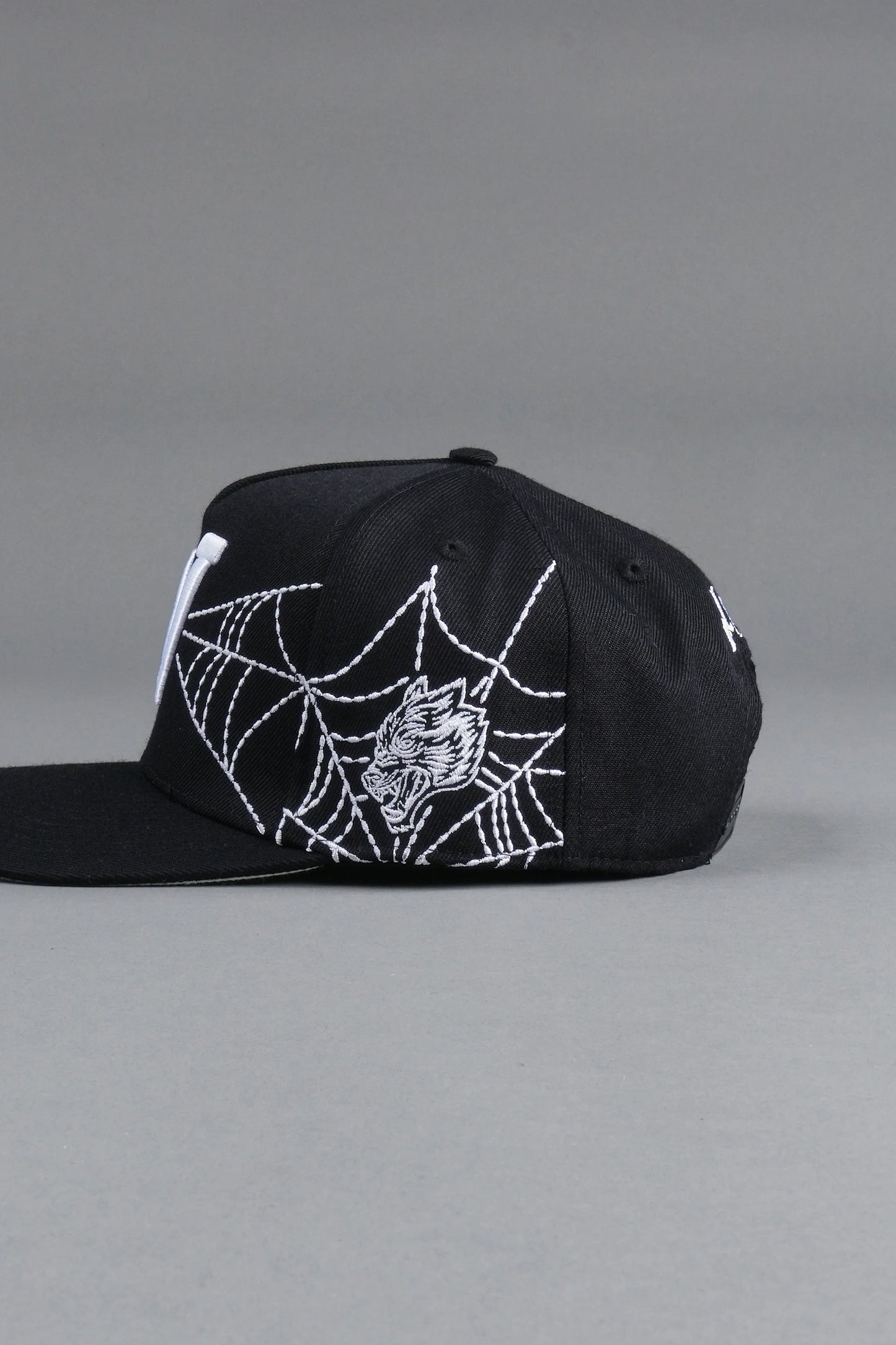 Webbed A Frame Snapback in Black
