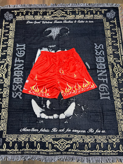 CARDINAL SIN REVERSIBLE MESH SHORTS