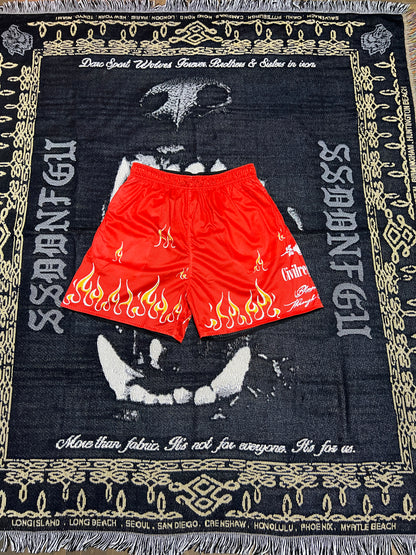 CARDINAL SIN REVERSIBLE MESH SHORTS