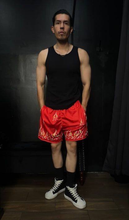 CARDINAL SIN REVERSIBLE MESH SHORTS